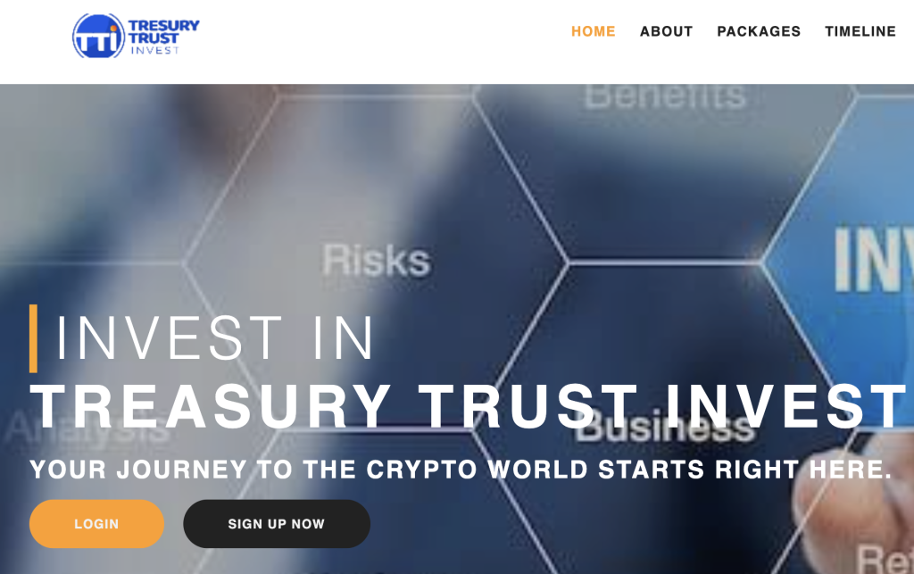 A Detailed Scam Review of Treasurytrust-enterprise.org